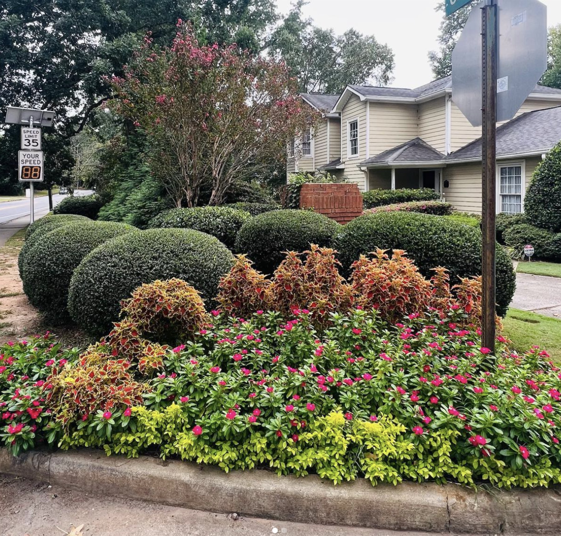 Natural stone retaining wall with pea gravel and evergreen shrubs in Alpharetta, GA